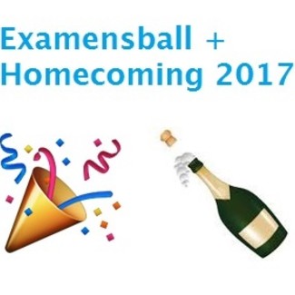 Examensball und Homecoming am 24./25.11.2017